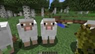 Feeding wheat to sheep (Image via bugs.mojang)